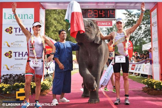 Alberto Casadei e Massimo Cigana festeggiano con l'elefantino la vittoria al Laguna Phuket Triathlon 2014