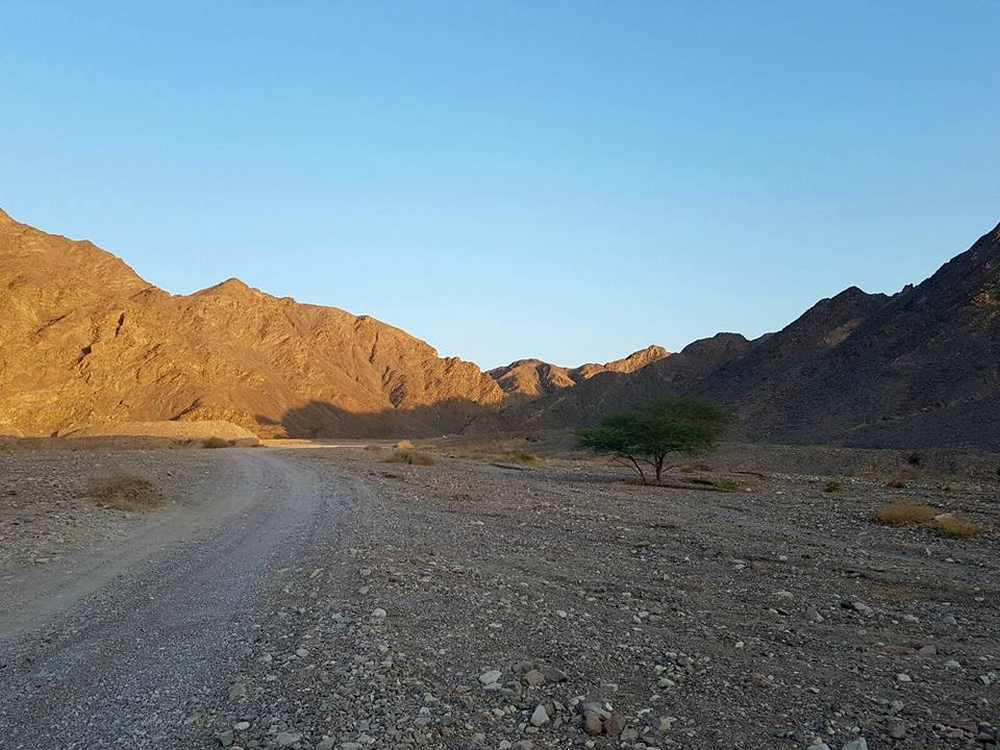 La Desert Marathon Eilat 2018 si correrà domenica 30 novembre.